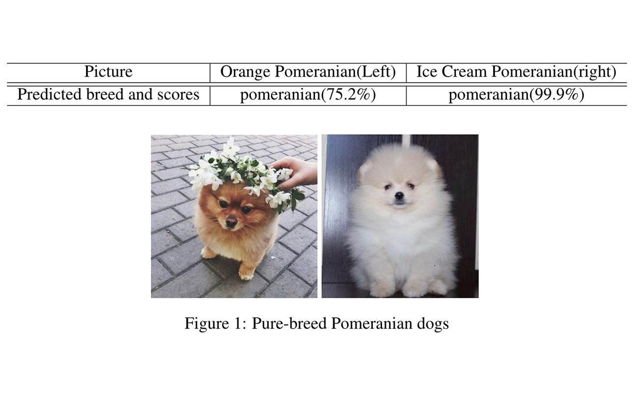 Dog Breed Identification